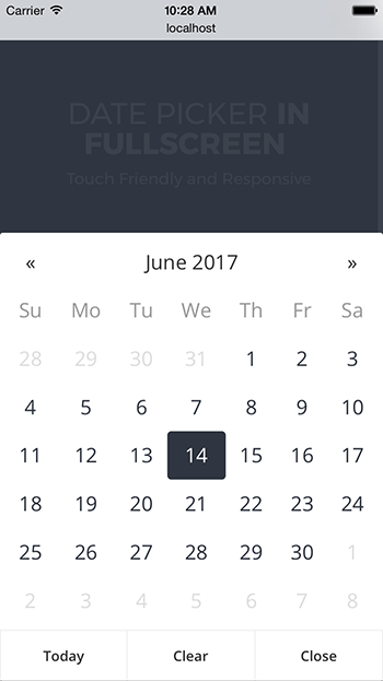 Date Picker In Fullscreen - jQuery Plugin - 2