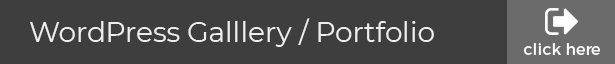 WhatsApp Chat Support - jQuery Plugin - 2